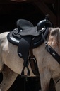ABETTA ORIGINAL. - FQH BARS