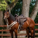 ABETTA GAITED COMFORT TRAIL. - GAITED BARS.