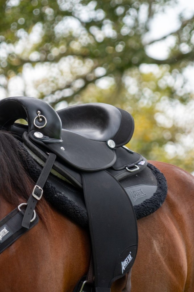 ABETTA GAITED COMFORT ENDURANCE. - GAITED BARS