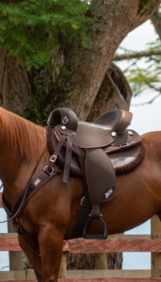 ABETTA GAITED COMFORT ENDURANCE. - GAITED BARS