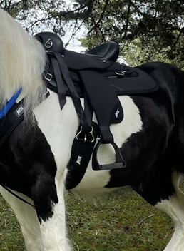 ABETTA SERENITY ENDURANCE. - FQH BARS