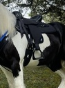 ABETTA SERENITY ENDURANCE. - FQH BARS