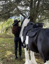ABETTA SERENITY ENDURANCE. - FQH BARS